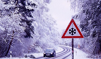 wintercheck2
